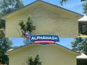 Power Washing 470195897 4107556432805642 5299492044340193084 n (1)